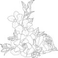 Realistic gardenia, iris and peony flower bouquet with leafs sketch template.