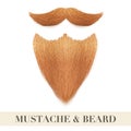 Realistic ginger beard with curly mustache Royalty Free Stock Photo