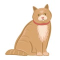 Realistic ginger cat on a white background - Vector