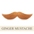 Realistic ginger vintage curly mustache