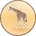 Realistic giraffe. Round sandy background in a brown frame.