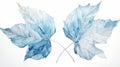 Realistic Glacier Leaves Illusory Hyperrealism Watercolor Art