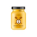 Realistic glass jar with honey. Food bank. Honey packaging design. Honey logo. Mock up glass jar with design label or