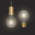 Realistic glow bulb background with luminant lens end lamp hanging on wire on dark background vector illustration Royalty Free Stock Photo