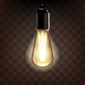 Realistic glowing lamp. Warm light garland lamp. Beautiful light from the lamp on a transparent background