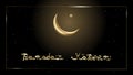 Realistic golden crescent moon with a star on a background of a dark color starry sky.