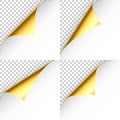Realistic golden curled page corner set. Greeting card design element. Blank sheet of paper. Vector illustration.