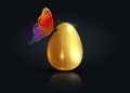 Realistic golden egg with luxury colorful butterfly, Easter concept vector illustration isolated on black background Royalty Free Stock Photo