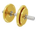 A realistic golden rendering of a dumb bell (series) Royalty Free Stock Photo