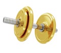 A realistic golden rendering of a dumb bell (series) Royalty Free Stock Photo
