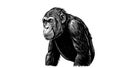 Realistic Gorilla Primate Illustration, vector design Generative AI Royalty Free Stock Photo