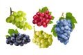 Realistic grapes set print collection