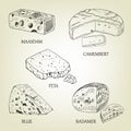 Realistic graphic cheese collection. Vector illustration.