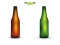 Realistic graphic design vector of bottle of brown and green color beer Royalty Free Stock Photo