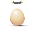 Realistic graphic design vector of gold egg Royalty Free Stock Photo