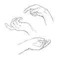 Realistic graphic hands illustration set. Pointing and holding posed human hands. Elegant black line poising arms collection.