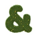 Realistic grass ampersand sign  isolated on white background. Collection. Royalty Free Stock Photo