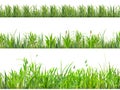 Realistic grass border. Yard turf borders, golf lawn green herbs edging sprout fresh grasses row nature meadow field Royalty Free Stock Photo