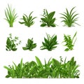Realistic grass bushes. Green fresh plants, garden seasonal spring greens and herbs, botanical sprout vector isolated