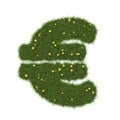 Realistic grass euro sign isolated on white background. Collection. Royalty Free Stock Photo