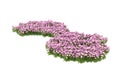 Realistic grass with flowers isolated on background. 3d rendering - illustration Royalty Free Stock Photo