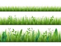 Realistic grass growth. Different stages green plants growing, fresh herbs stripes, lawn borders, garden weeds, broad Royalty Free Stock Photo
