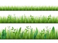 Realistic grass growth. Different stages green plants growing, fresh herbs stripes, lawn borders, garden weeds, broad