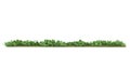 Realistic grass with isolated on background. 3d rendering - illustration Royalty Free Stock Photo