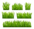 Realistic grass of lawn or field