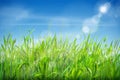 Realistic grass sky. Green field and clouds scenery, fluffy lawn growing garden herbs countryside meadow scene, spring