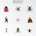 Realistic Grasshopper, Gnat, Arachnid And Other Vector Elements. Set Of Insect Realistic Symbols Also Includes Ladybug