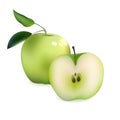 Realistic Green Apple and Half Sliced Apple. Vector Illustration Isolated On White Background Icon Royalty Free Stock Photo