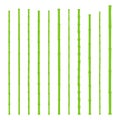 Realistic green bamboo sticks set. Vector Illustration. Royalty Free Stock Photo