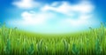 Realistic green grass with clouds on blue sky background. Garden lawn stripe, meadow herbs, field panorama, fisheye Royalty Free Stock Photo