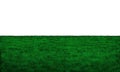 Realistic green grass field on white background vector