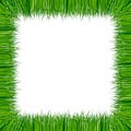 Realistic green grass frame isolated on white. Vector illustration Royalty Free Stock Photo