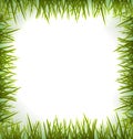 Realistic green grass like frame isolated on white Royalty Free Stock Photo