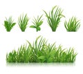 Realistic green grass Royalty Free Stock Photo