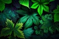 Realistic Green Leafy Nature Background Illuminated By The Sun - Generative AI Royalty Free Stock Photo