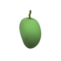 Realistic green mango fruit illustration