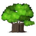 Realistic green oak tree isolated on white background - Vector Royalty Free Stock Photo