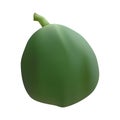 Realistic green papaya vector design