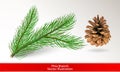 Realistic Green Pine Tree Branch And Brown Cone Isolated On White Background. Set For Design. Vector Illustration