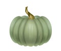 Realistic green pumpkin
