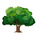 Realistic green tree. Isolated icon on white background. Spring tree for your design. Vector symbol sign. Plants Royalty Free Stock Photo