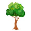 Realistic green tree. Isolated icon on white background. Spring tree for your design. Vector symbol sign. Plants Royalty Free Stock Photo