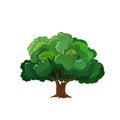 Realistic green tree. Isolated icon on white background. Spring tree for your design. Vector symbol sign. Plants Royalty Free Stock Photo