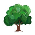 Realistic green tree. Isolated icon on white background. Spring tree for your design. Vector symbol sign. Plants Royalty Free Stock Photo