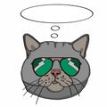 Realistic grey cat head and thinking balloon and sunglasses Royalty Free Stock Photo