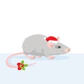 Rat Year Chinese Calendar. Realistic Grey Rat In Christmas Hat Vector Illustration.